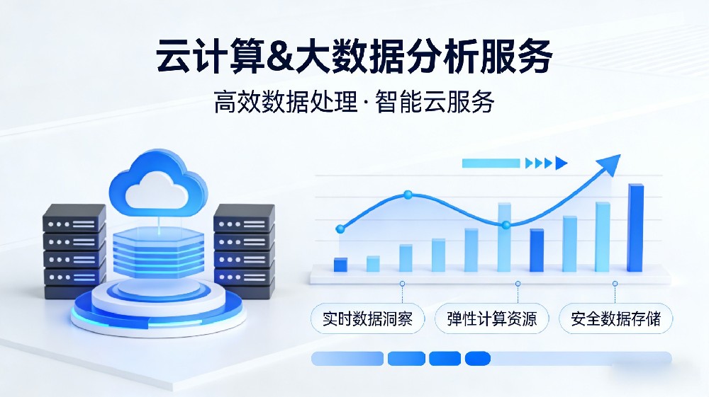 云计算 & 大数据分析服务